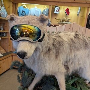 Meet your Posher, Yvonne